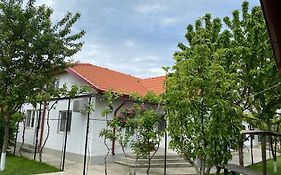 Casa Porumbelul Vama Veche